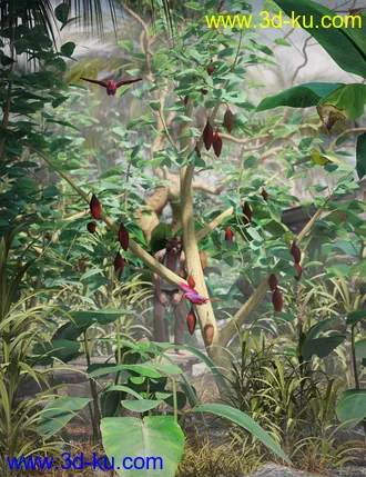 3D打印模型Tropical Plants - Edible Exotics的图片