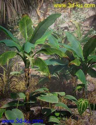 3D打印模型Tropical Plants - Edible Exotics的图片