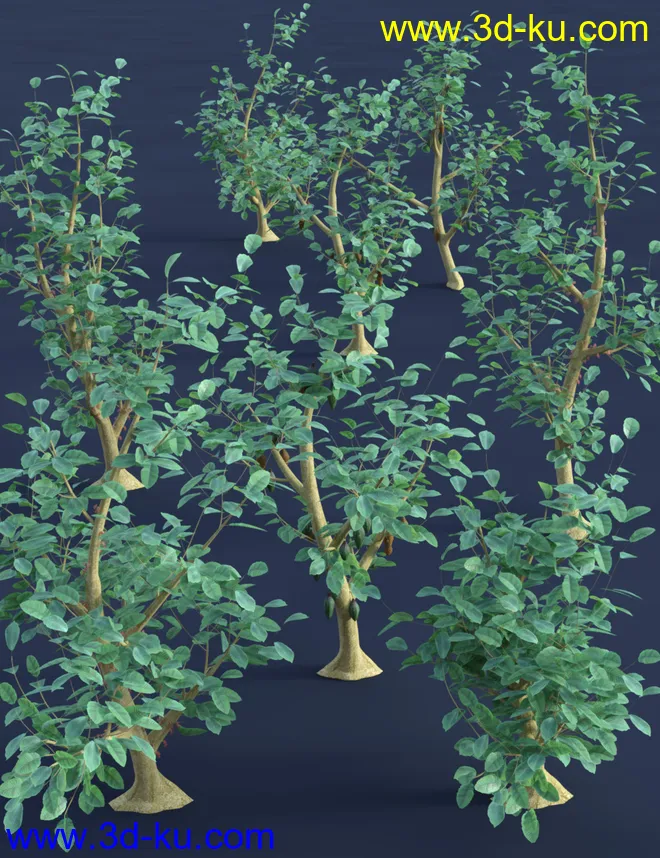 Tropical Plants - Edible Exotics模型的图片6