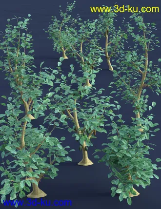 3D打印模型Tropical Plants - Edible Exotics的图片