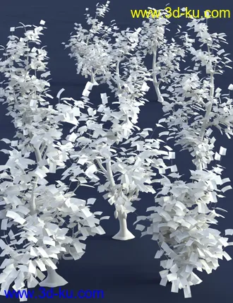 3D打印模型Tropical Plants - Edible Exotics的图片
