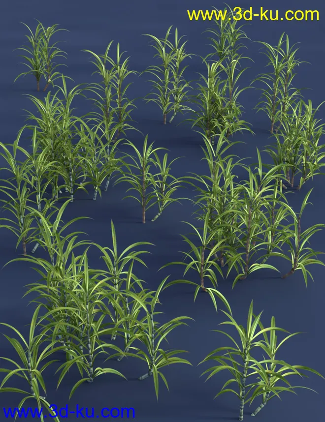 Tropical Plants - Edible Exotics模型的图片8