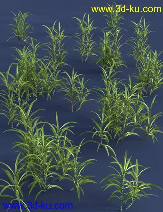 3D打印模型Tropical Plants - Edible Exotics的图片