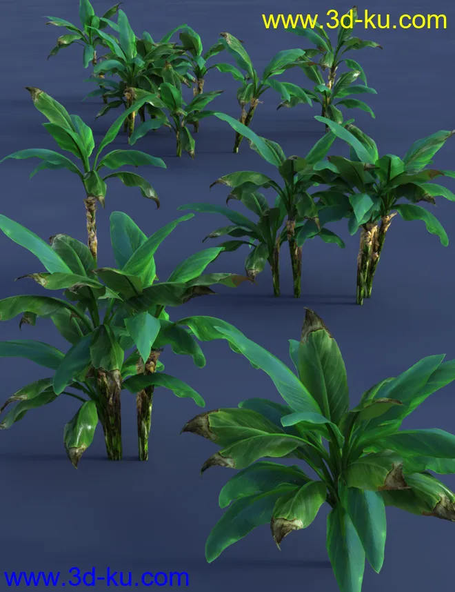 Tropical Plants - Edible Exotics模型的图片9