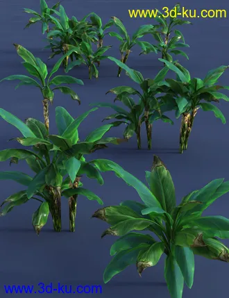 3D打印模型Tropical Plants - Edible Exotics的图片