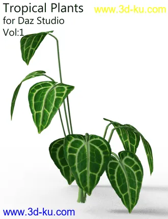 3D打印模型Tropical Plants for Daz Studio and Iray Vol.1的图片