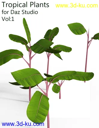3D打印模型Tropical Plants for Daz Studio and Iray Vol.1的图片