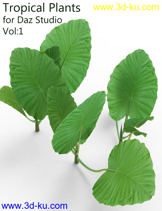 Tropical Plants for Daz Studio and Iray Vol.1模型的图片6