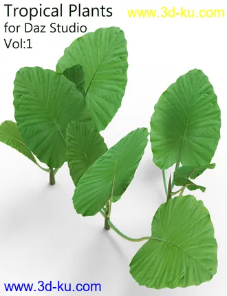 3D打印模型Tropical Plants for Daz Studio and Iray Vol.1的图片