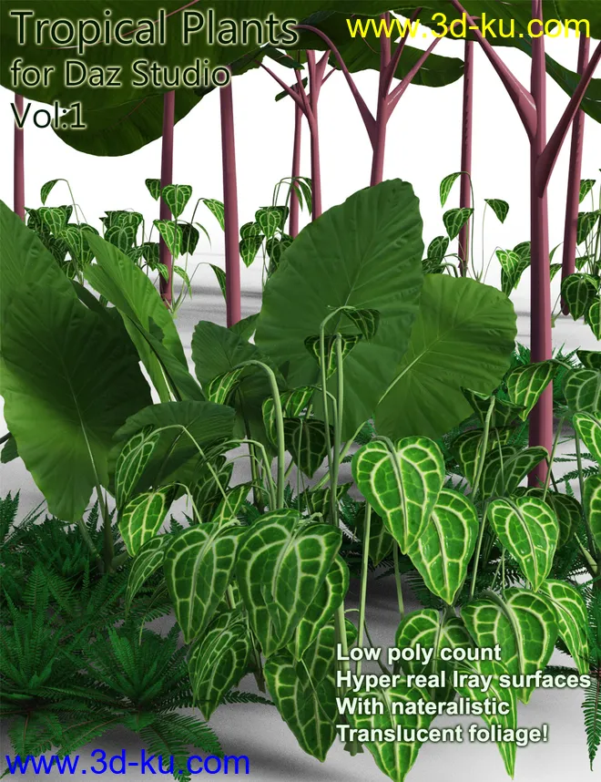 Tropical Plants for Daz Studio and Iray Vol.1模型的图片7