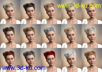 3D打印模型Truli Updo Hair for Genesis 8, 8.1, and Genesis 3 Female的图片