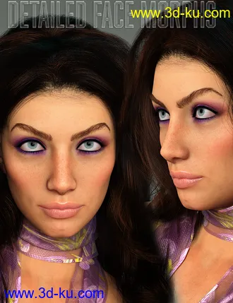 3D打印模型Twizted Detailed Face Morphs for Genesis 8 and 8.1 Female的图片