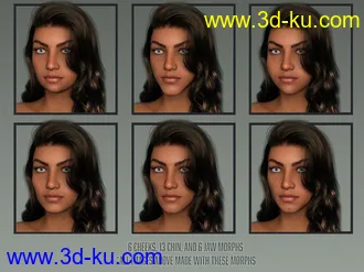 3D打印模型Twizted Detailed Face Morphs for Genesis 8 and 8.1 Female的图片