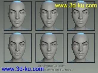 3D打印模型Twizted Detailed Face Morphs for Genesis 8 and 8.1 Female的图片