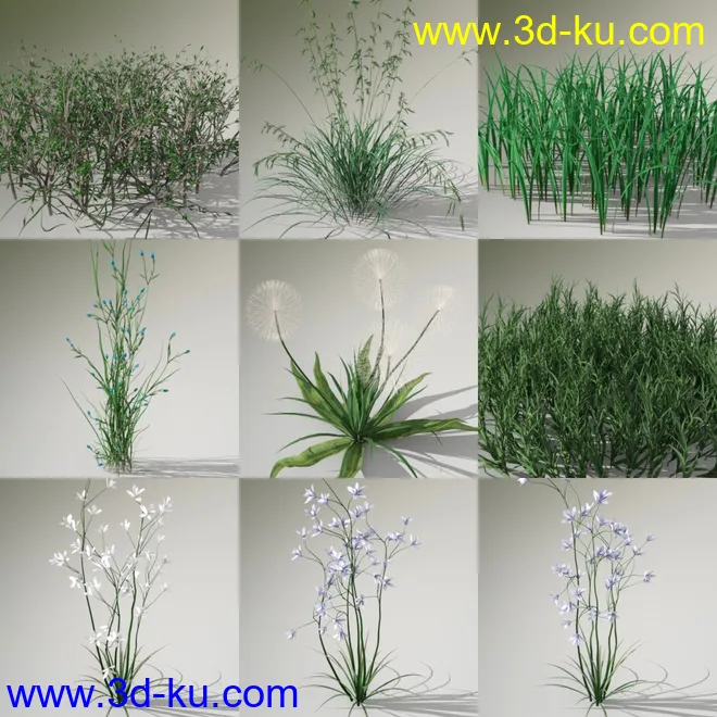 Variety of Beautiful Plants模型的图片4