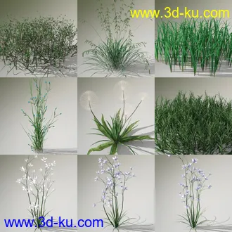 3D打印模型Variety of Beautiful Plants的图片