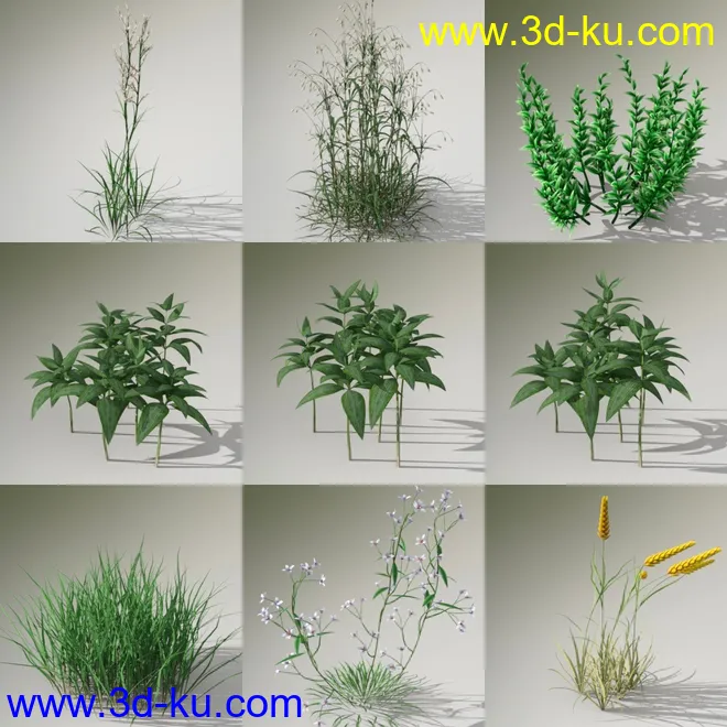 Variety of Beautiful Plants模型的图片5