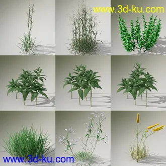 3D打印模型Variety of Beautiful Plants的图片