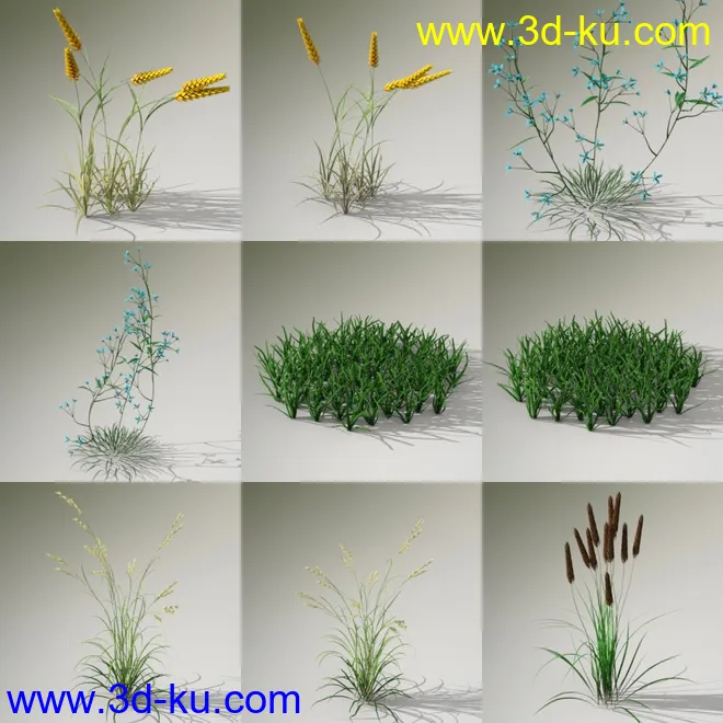 Variety of Beautiful Plants模型的图片6