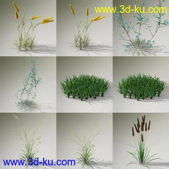 3D打印模型Variety of Beautiful Plants的图片