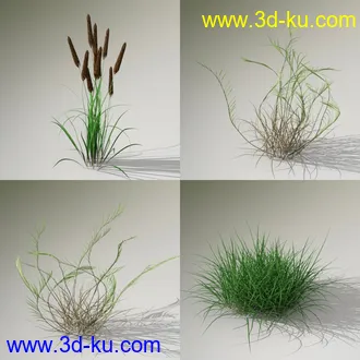 3D打印模型Variety of Beautiful Plants的图片
