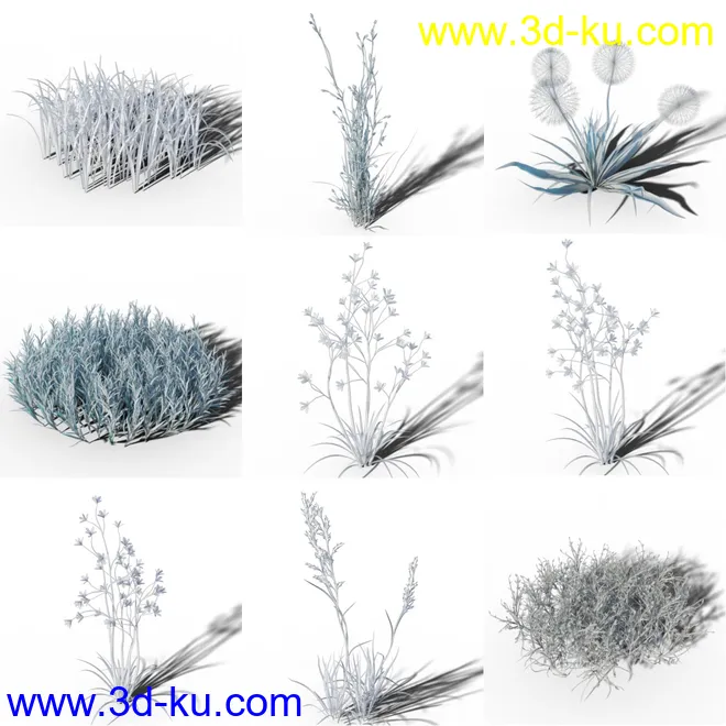 Variety of Beautiful Plants模型的图片8