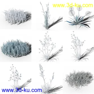 3D打印模型Variety of Beautiful Plants的图片