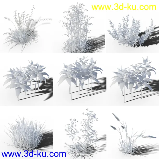 Variety of Beautiful Plants模型的图片9