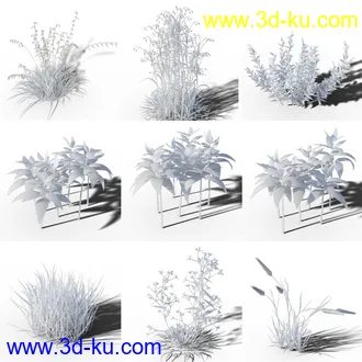 3D打印模型Variety of Beautiful Plants的图片