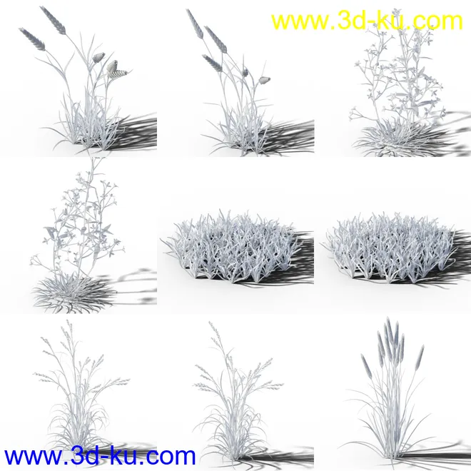 Variety of Beautiful Plants模型的图片10