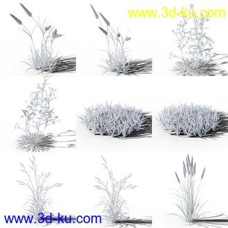 3D打印模型Variety of Beautiful Plants的图片