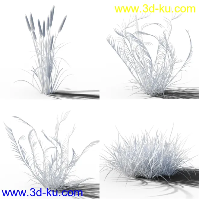 Variety of Beautiful Plants模型的图片11