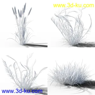 3D打印模型Variety of Beautiful Plants的图片