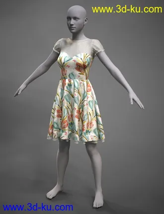 3D打印模型Versatility for Malka Dress的图片