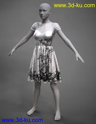 3D打印模型Versatility for Malka Dress的图片