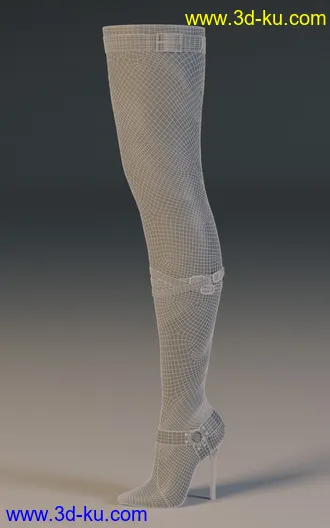3D打印模型Vertigo High Heel Boots for Genesis 3, 8 and 8.1 Females的图片