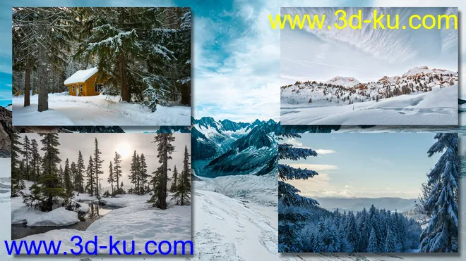 WinterScapes Backdrops Volume 2模型的图片5