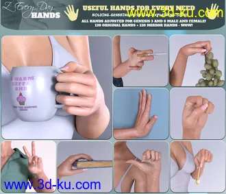 3D打印模型Z Every Day Hands for Genesis 3 and 8的图片