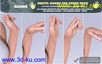 3D打印模型Z Every Day Hands for Genesis 3 and 8的图片