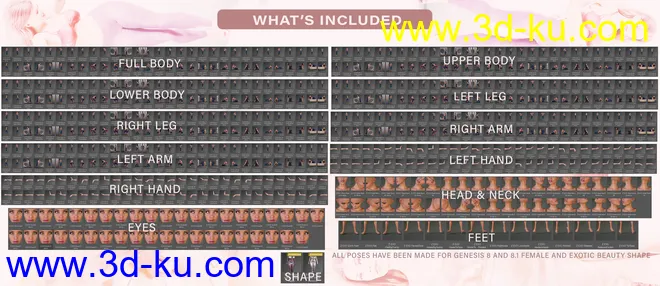 Z Exotic Beauty Shape and Poses Mega Set模型的图片9