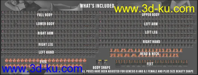 Z Plus Size Beauty Shape and Pose Mega Set for Genesis 8 and 8.1 Female模型的图片9