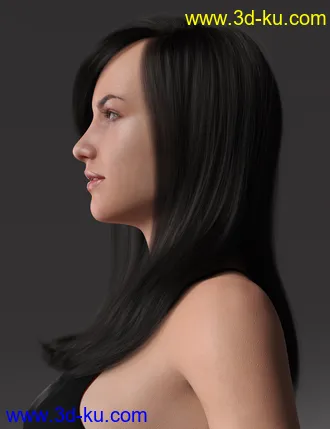 3D打印模型2022-01 Hair for Genesis 8 and 8.1 Females的图片
