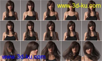 3D打印模型2022-01 Hair for Genesis 8 and 8.1 Females的图片