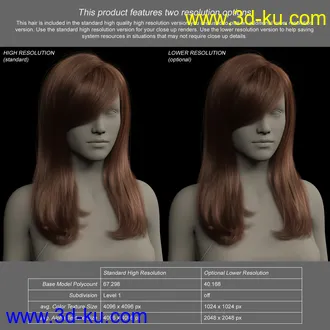 3D打印模型2022-01 Hair for Genesis 8 and 8.1 Females的图片