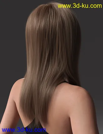 3D打印模型2022-01 Hair for Genesis 8 and 8.1 Females的图片