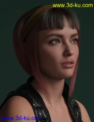 3D打印模型2022-03 Hair for Genesis 8 and 8.1 Females的图片