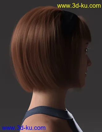 3D打印模型2022-03 Hair for Genesis 8 and 8.1 Females的图片