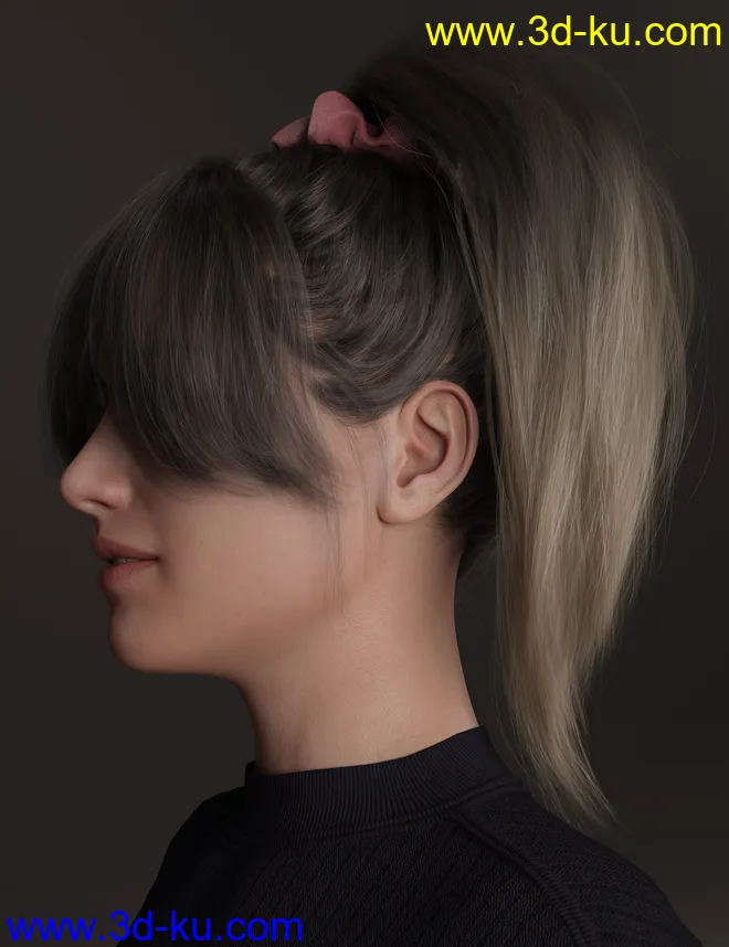 4-in-1 Buns and Ponytail Hair for Genesis 8 and 8.1 Females模型的图片3