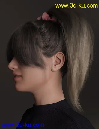3D打印模型4-in-1 Buns and Ponytail Hair for Genesis 8 and 8.1 Females的图片
