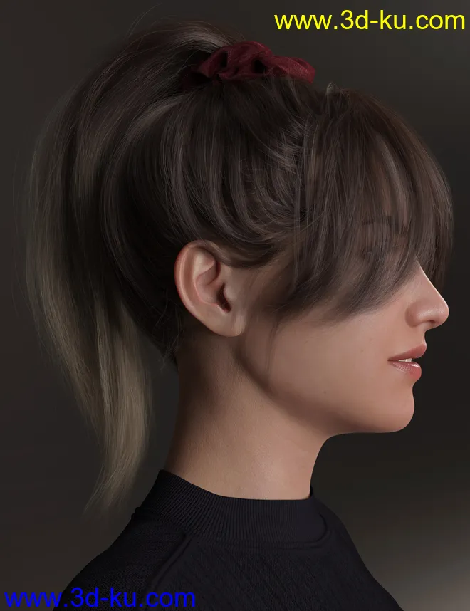 4-in-1 Buns and Ponytail Hair for Genesis 8 and 8.1 Females模型的图片4